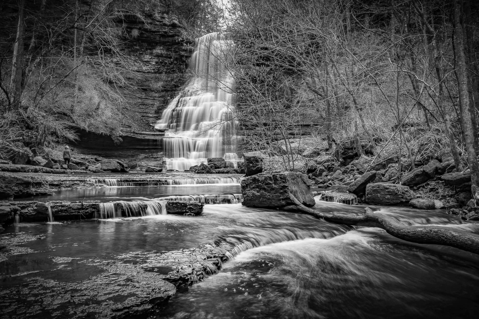 Top Hiking Trails to Explore Near Nashville