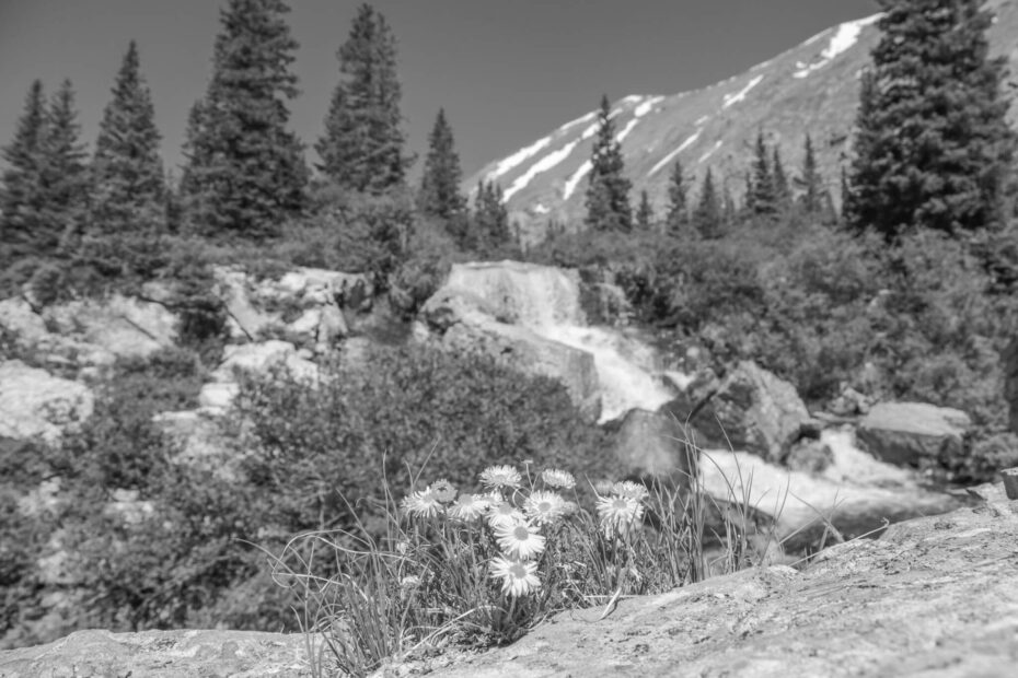 Top Hiking Trails to Explore in Breckenridge