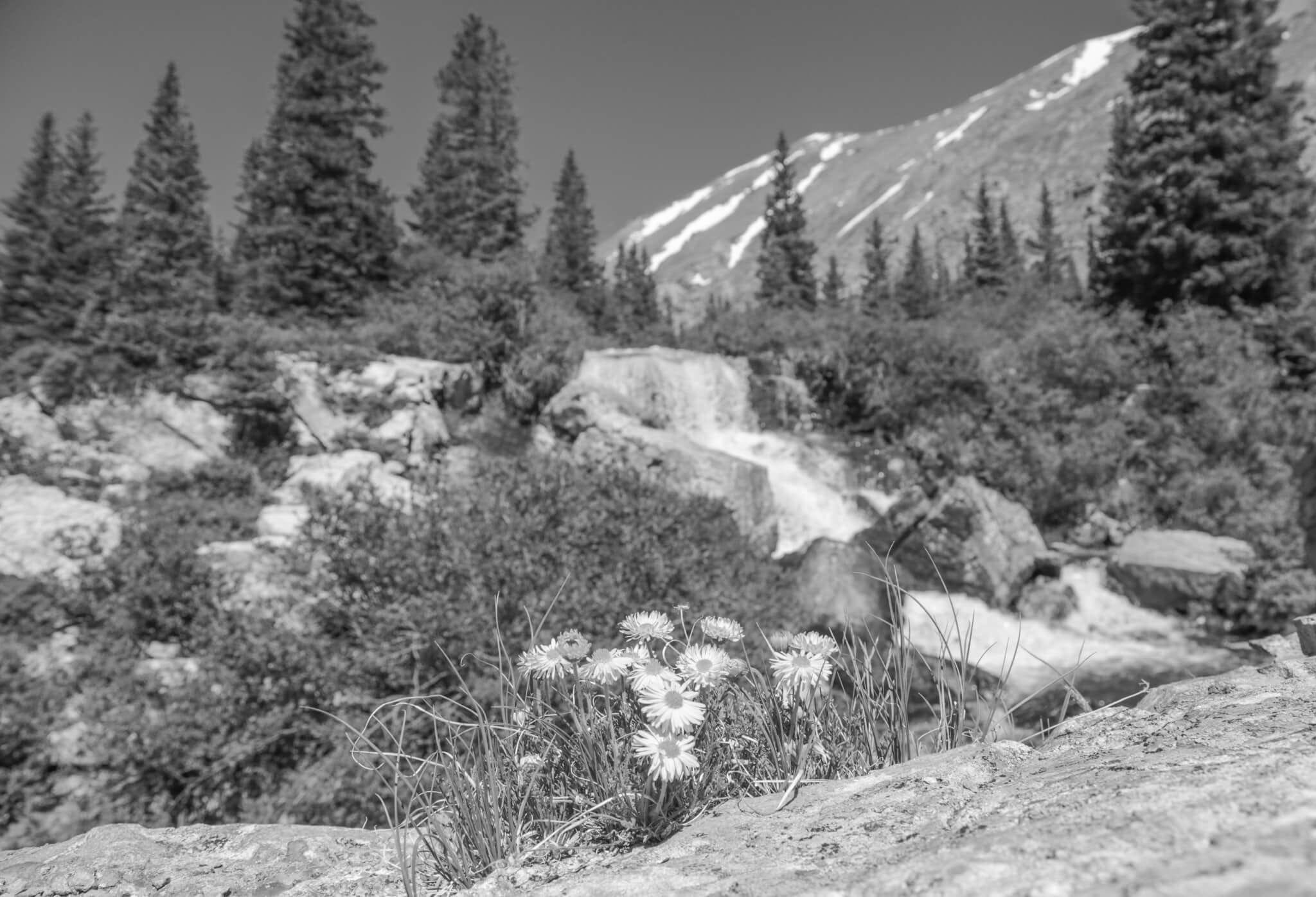 Top Hiking Trails to Explore in Breckenridge