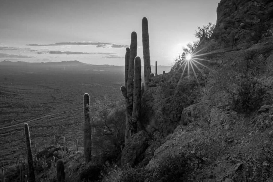 Top Hiking Trails to Explore in Tucson