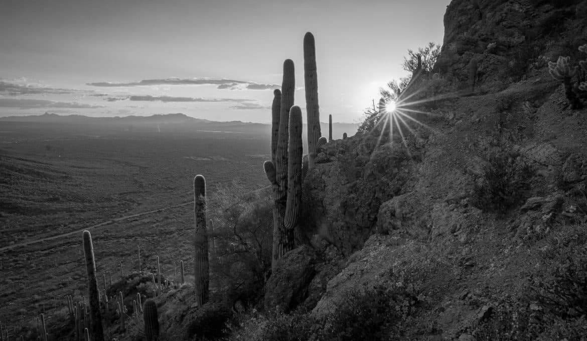 Top Hiking Trails to Explore in Tucson