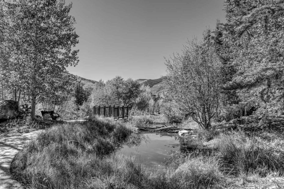 Top Hiking Trails to Explore in Vail