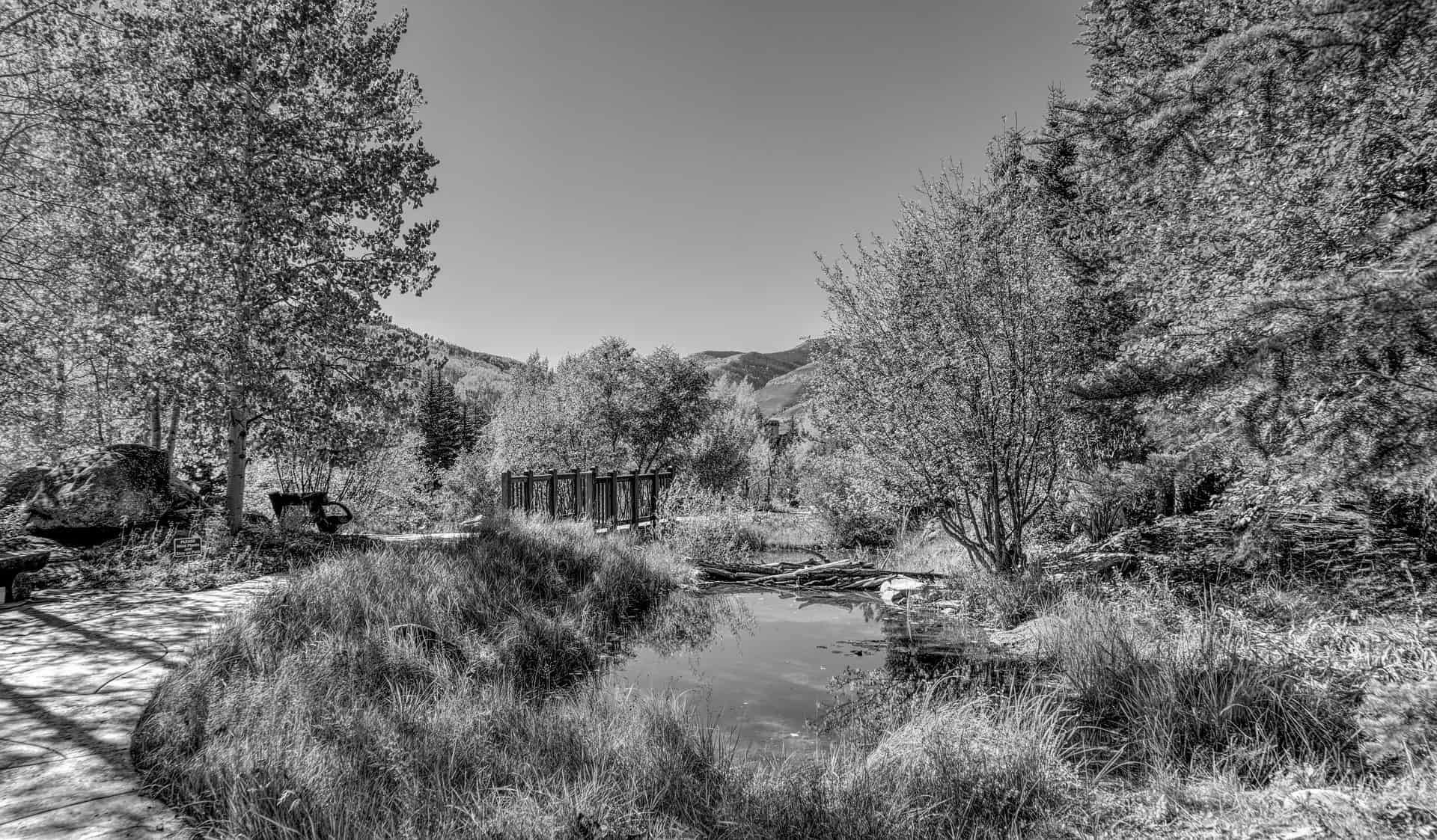 Top Hiking Trails to Explore in Vail