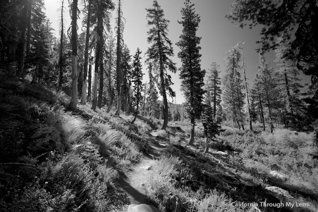 Ultimate Guide to California’s Best Hikes