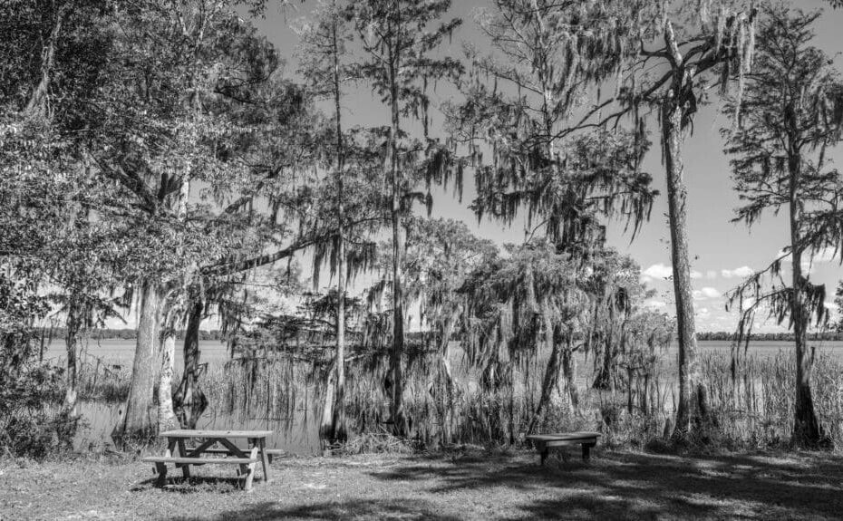 Ultimate Guide to Orlando's Best Hikes