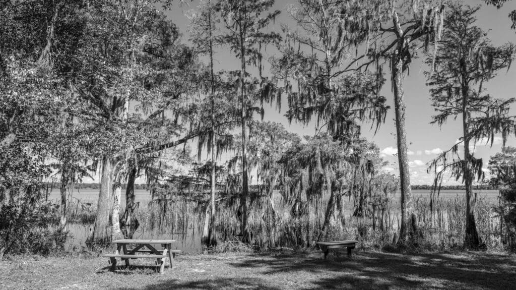 Ultimate Guide to Orlando's Best Hikes