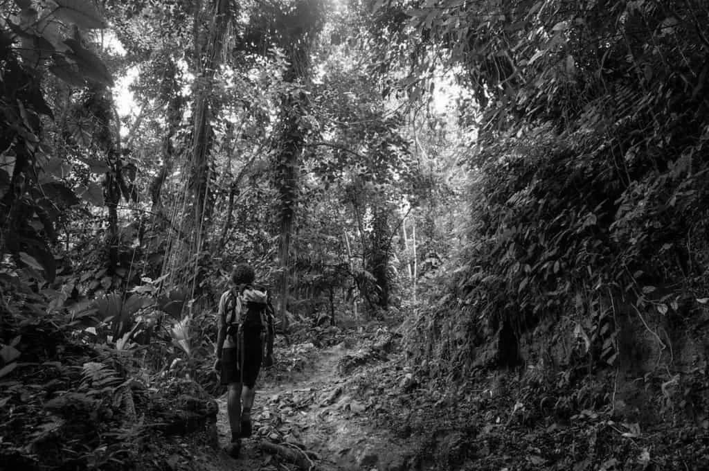 Ultimate Guide to South American Hiking Adventures