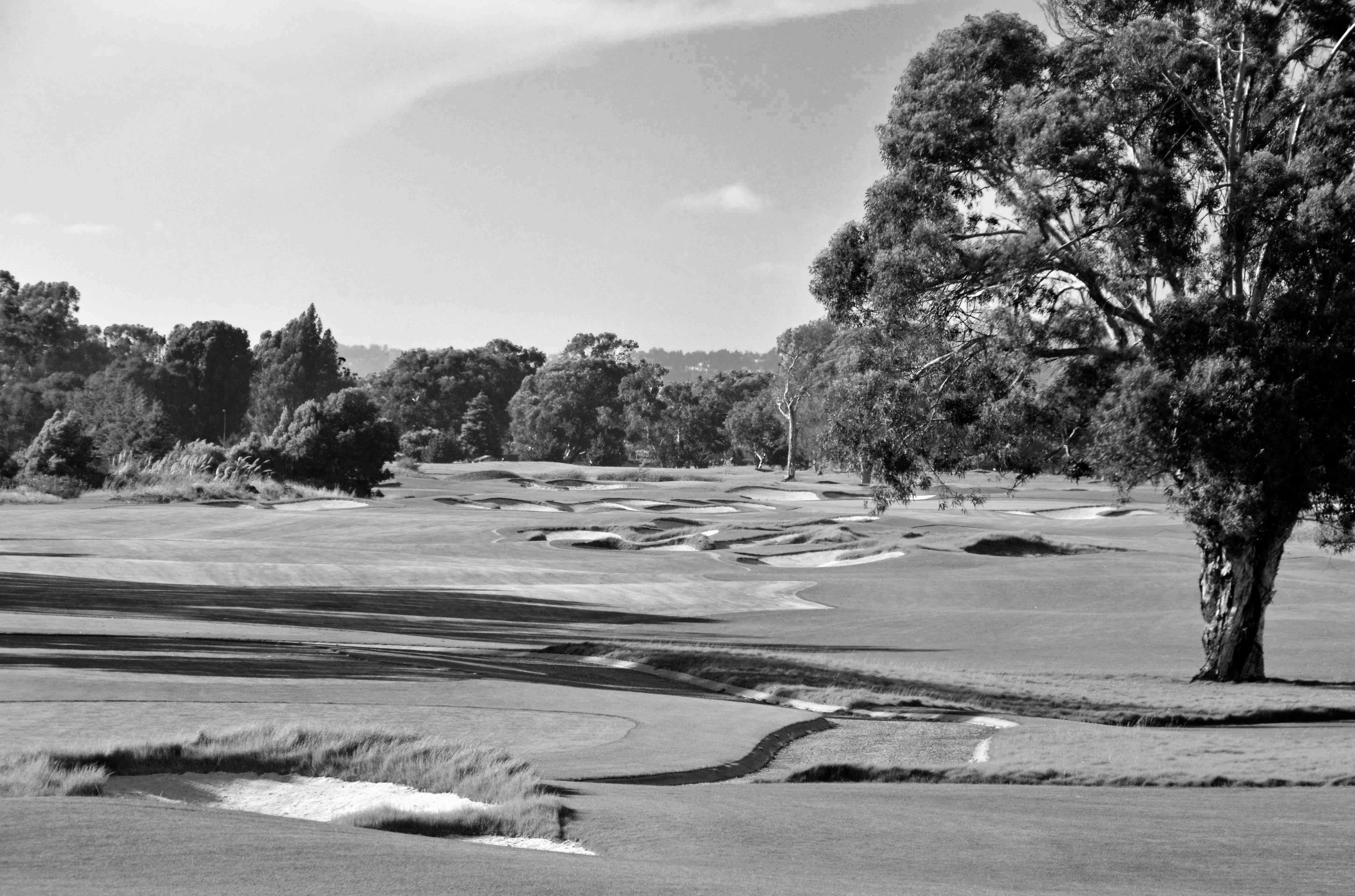 Best Alameda CA Golf Courses