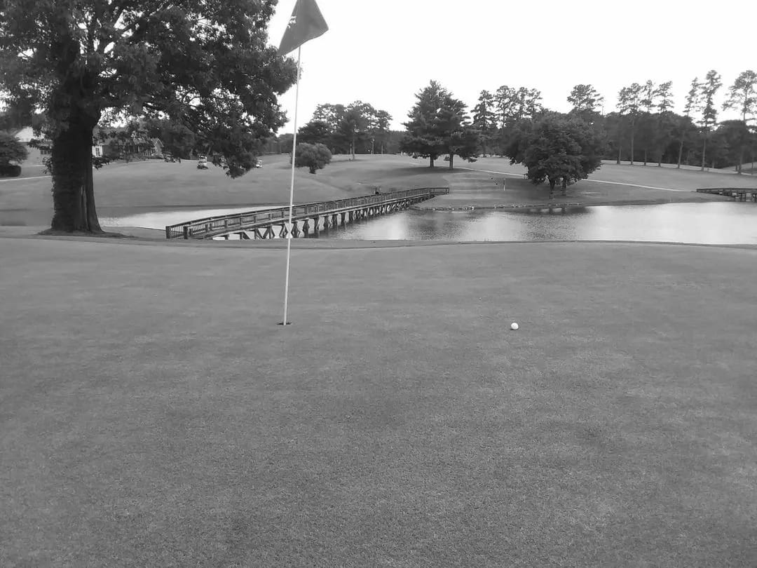 Best Albertville AL Golf Courses