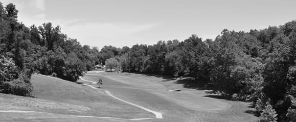 Best Alton IL Golf Courses