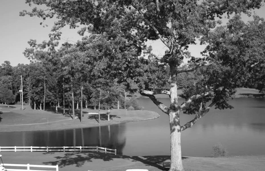 Best Asheboro NC Golf Courses