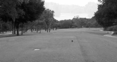 Best Beverly Hills FL Golf Courses