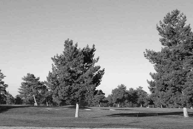 Best Boise ID Golf Courses