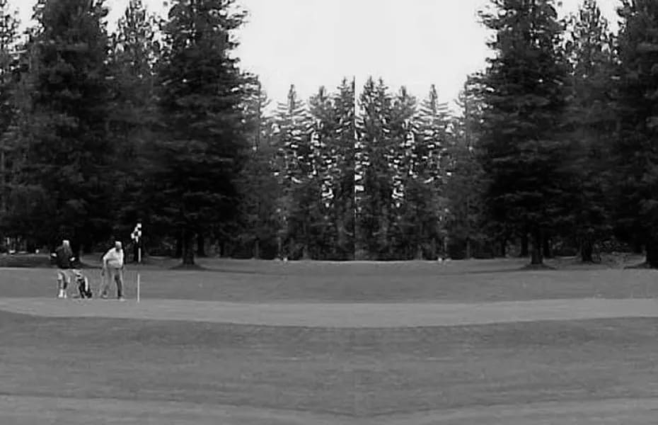 Best Bremerton WA Golf Courses