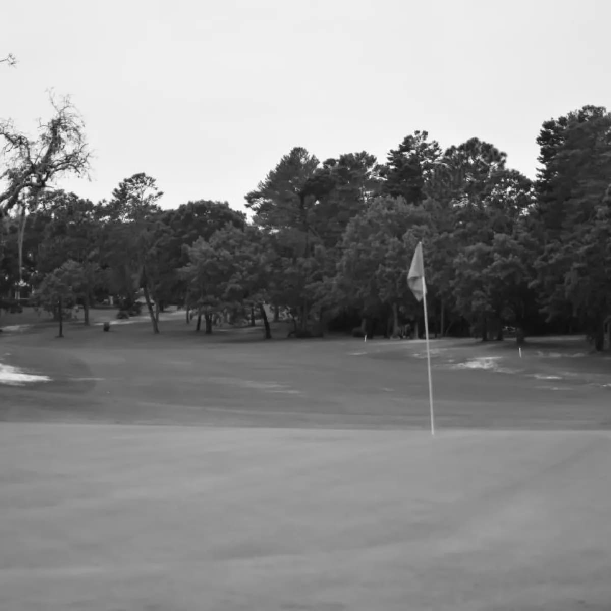 Best Brooksville FL Golf Courses