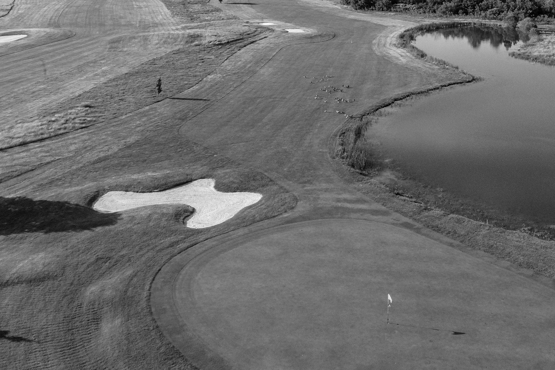 Best Buffalo NY Golf Courses