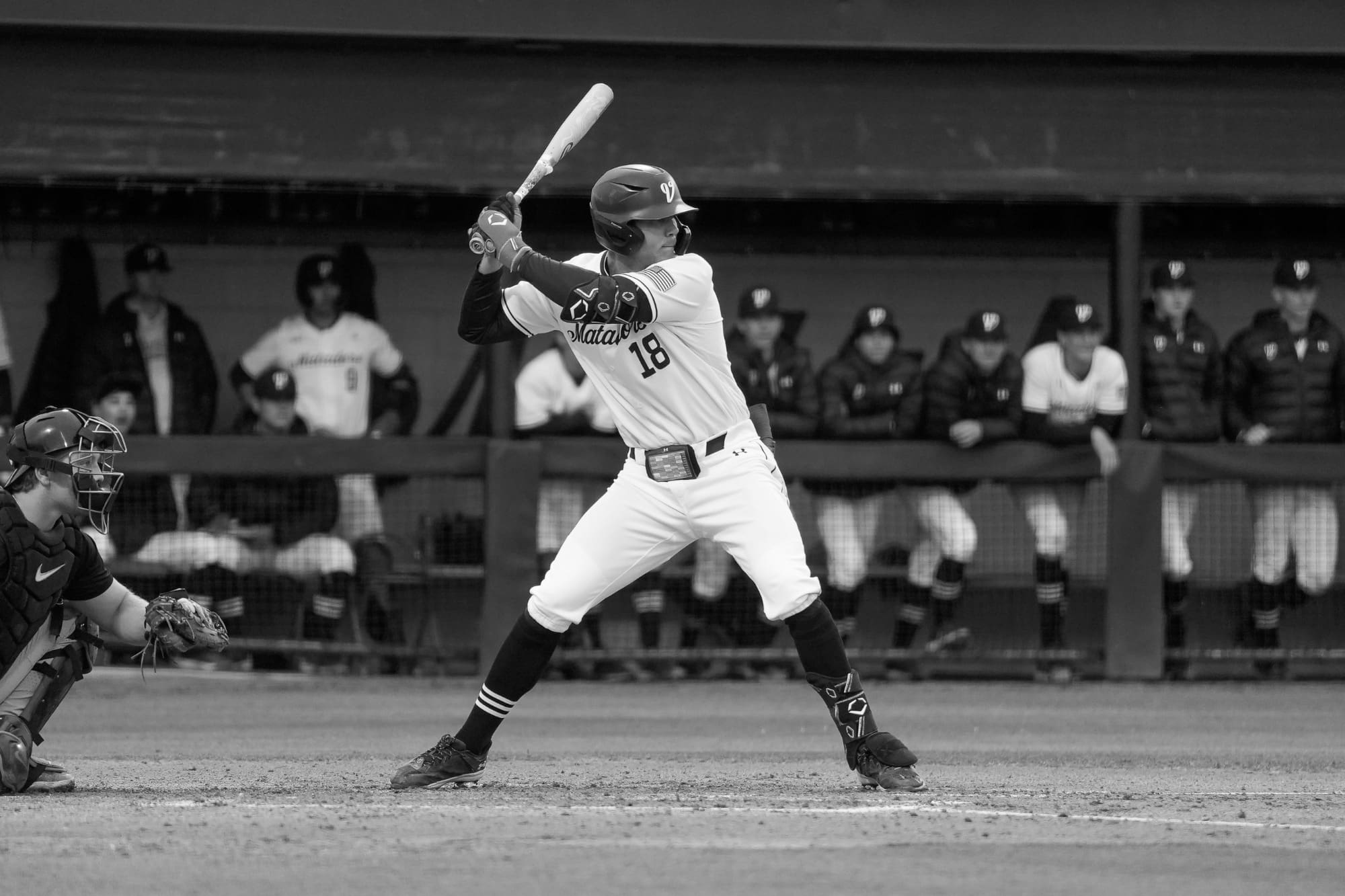 Best Cal State Northridge Matadors Baseball Players in Recent History