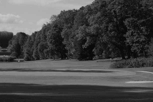 Best Cobb CA Golf Courses