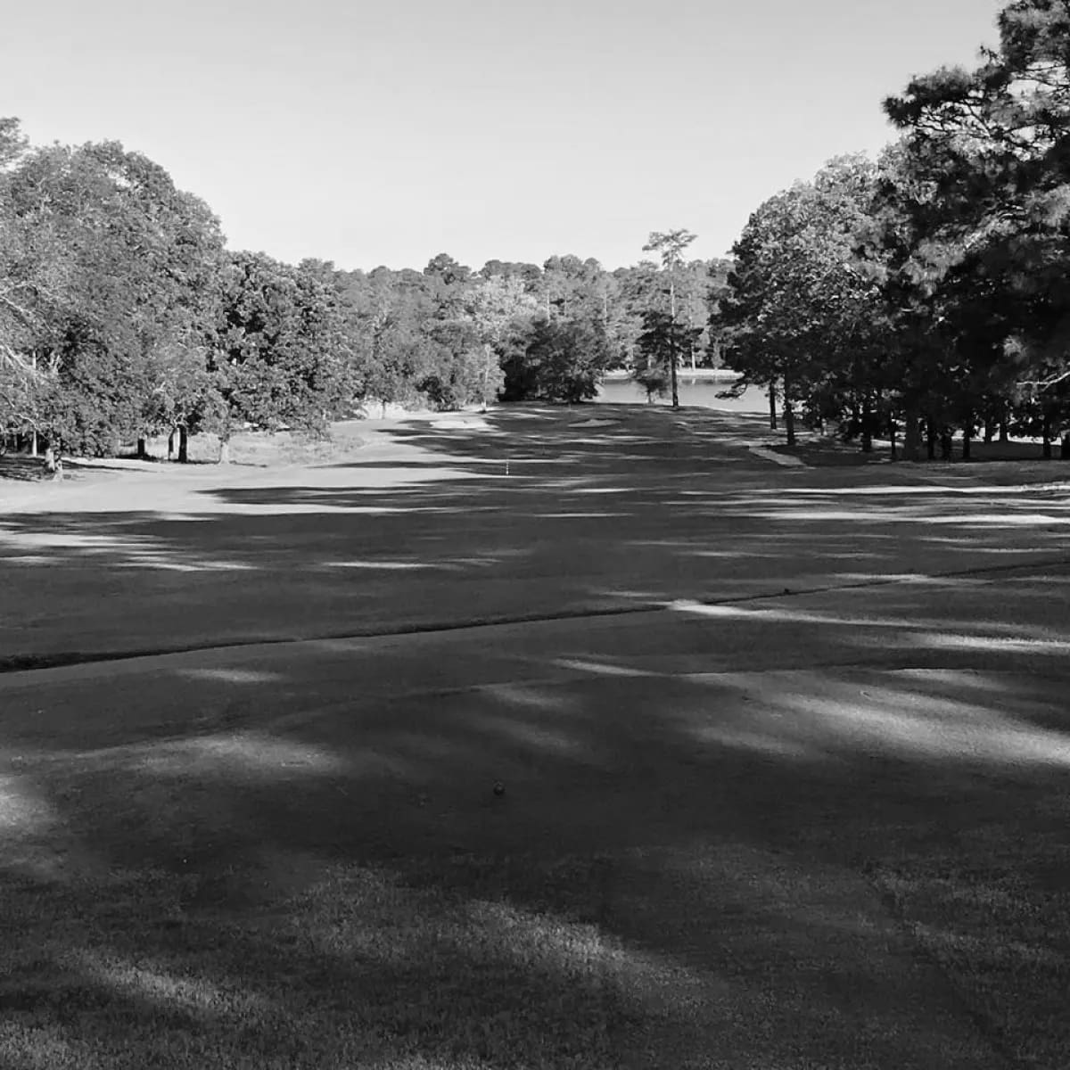 Best Columbia SC Golf Courses