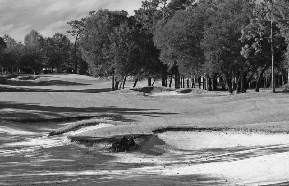 Best DeLand FL Golf Courses