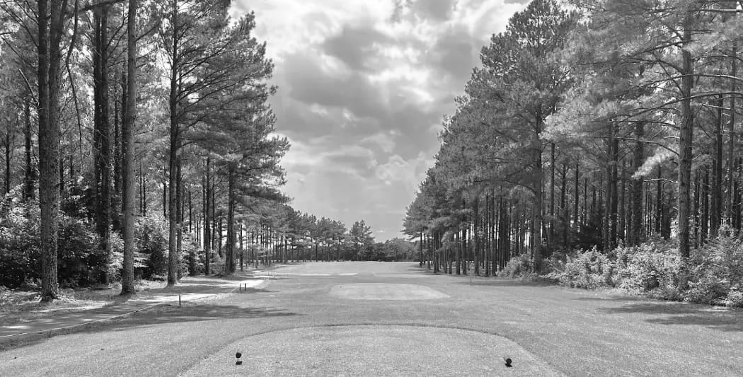 Best Decatur AL Golf Courses