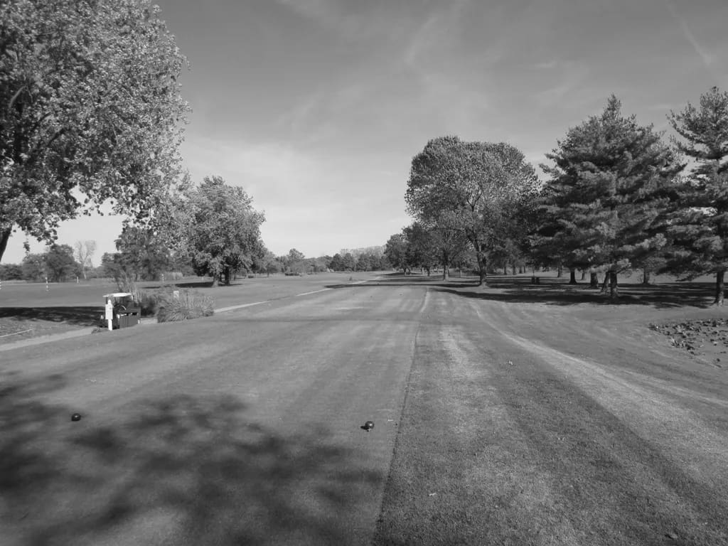 Best Edwardsville IL Golf Courses