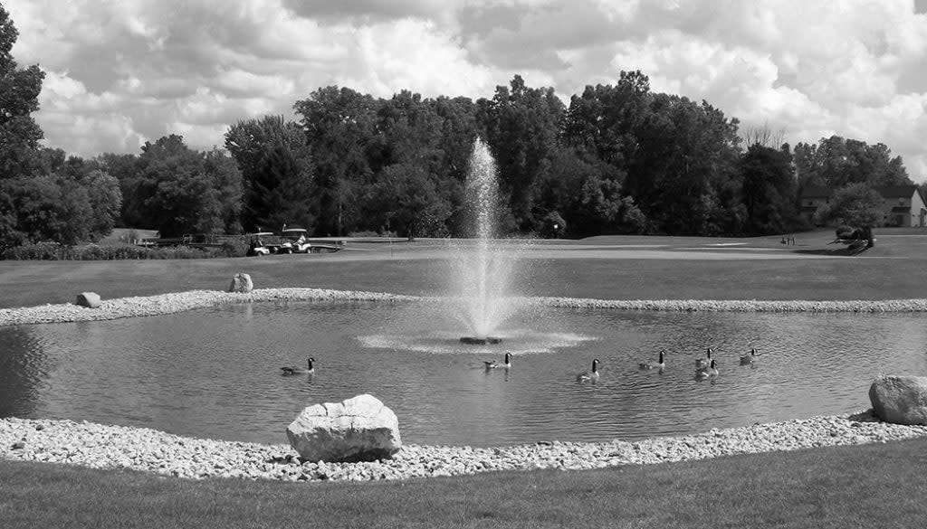 Best Flint MI Golf Courses
