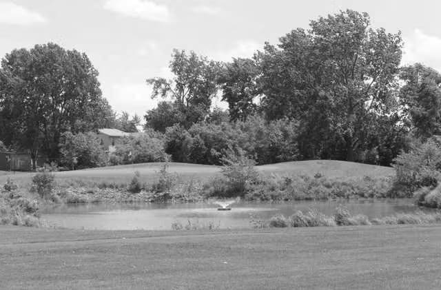 Best Frankfort IL Golf Courses