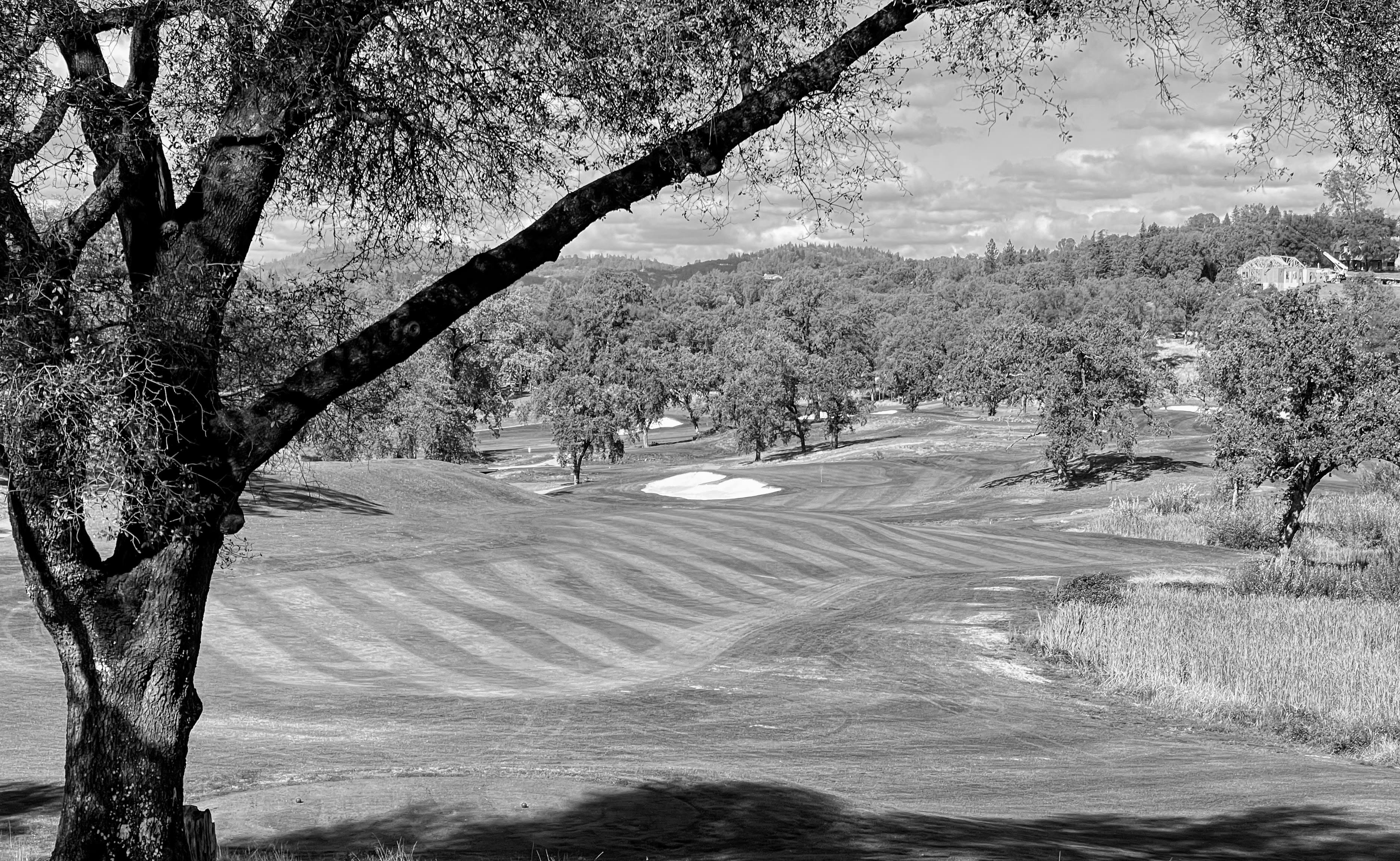 Best Grass Valley CA Golf Courses