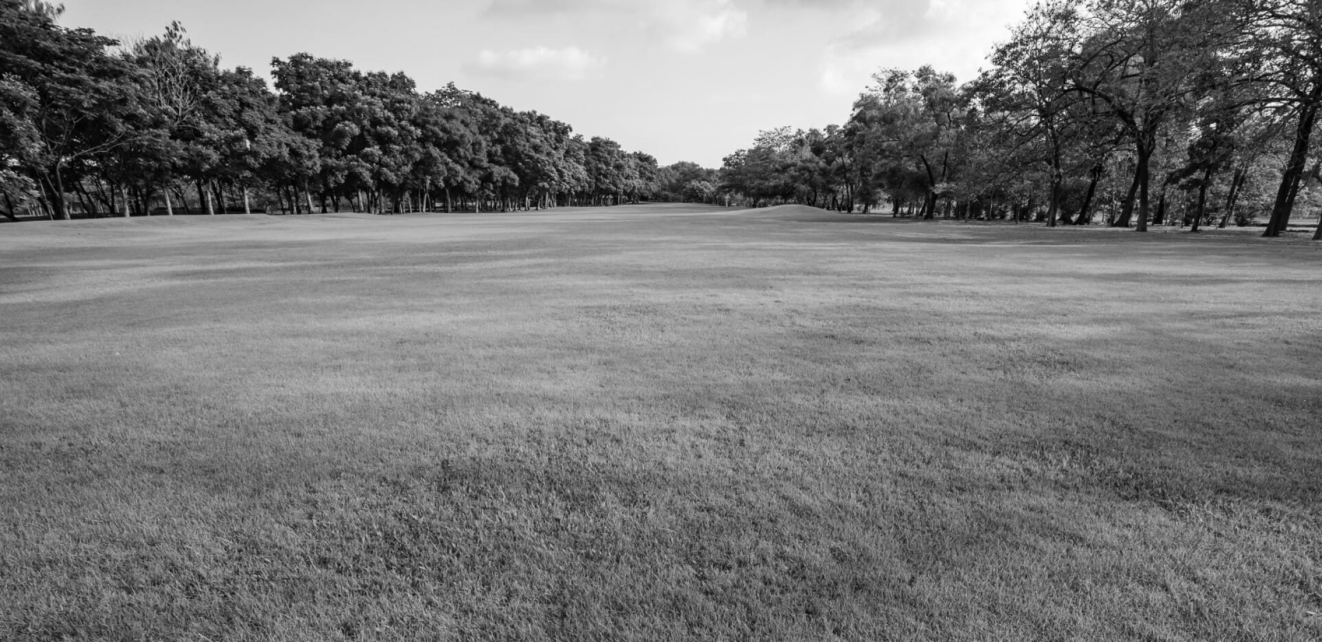 Best Hamburg NY Golf Courses