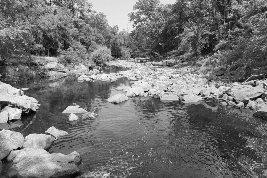 Best Hiking Trails in Alexandria, MD