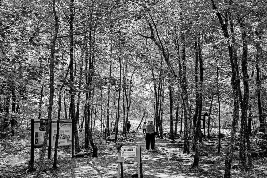Best Hiking Trails in Allentown PA