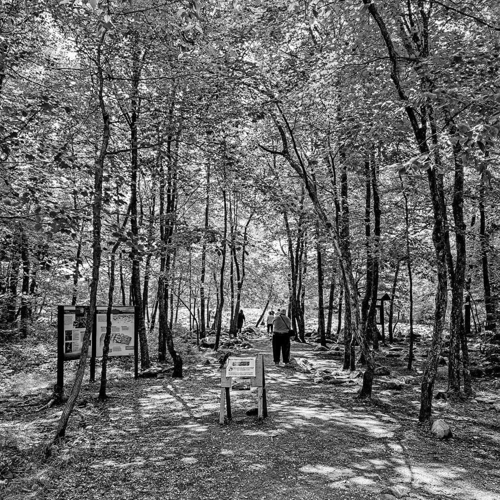 Best Hiking Trails in Allentown PA