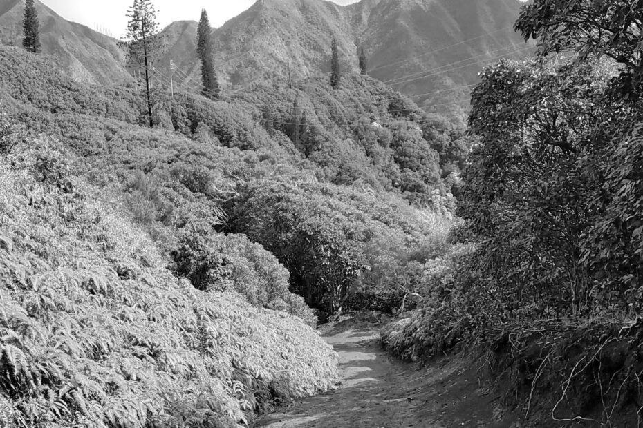 Best Hiking Trails in Aloha OR