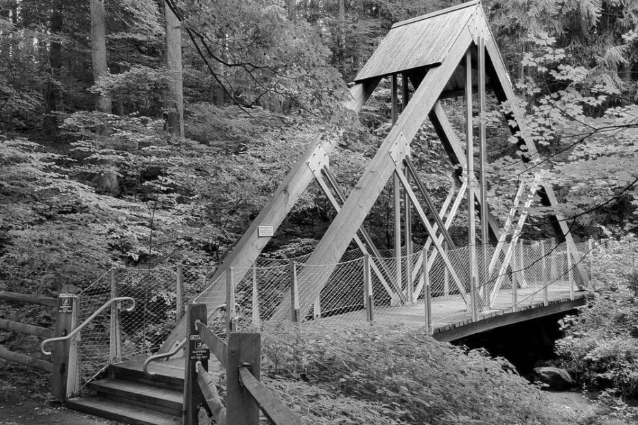 Best Hiking Trails in Altoona PA