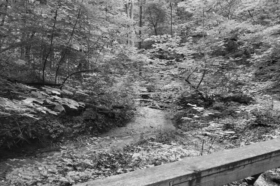 Best Hiking Trails in Ames IA
