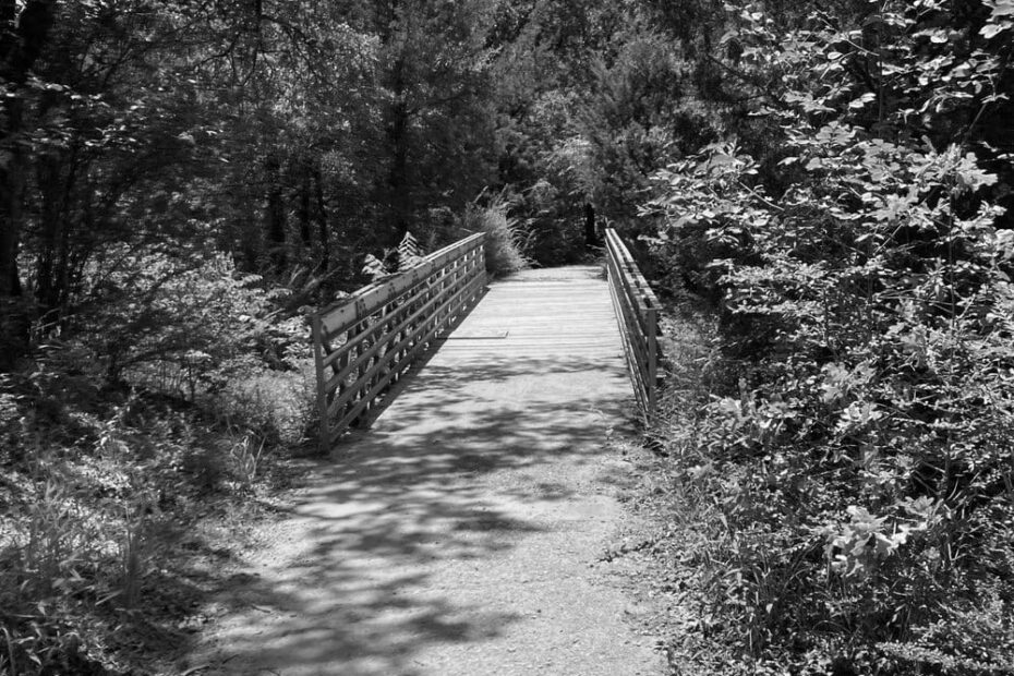 Best Hiking Trails in Arlington TX