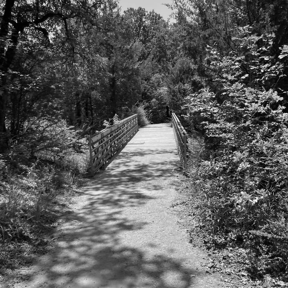 Best Hiking Trails in Arlington TX