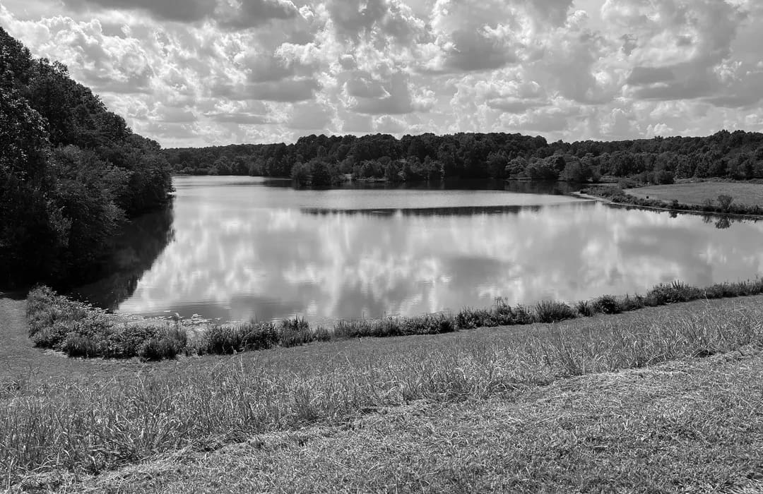 Best Hiking Trails in Auburn GA