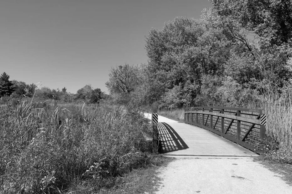 Best Hiking Trails in Aurora IL