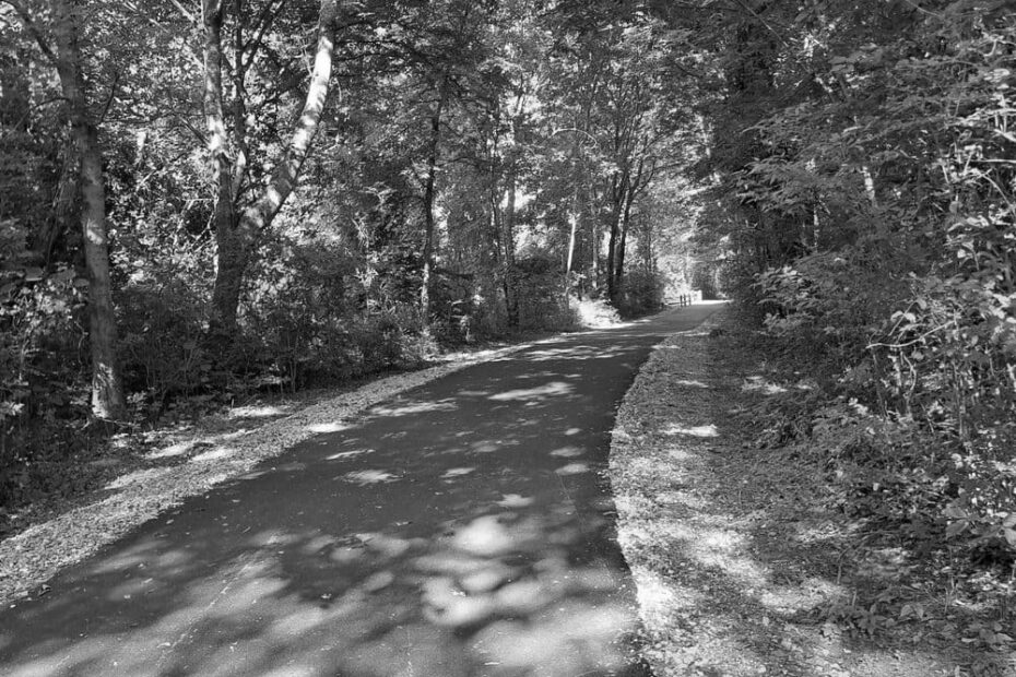 Best Hiking Trails in Bartlett TN
