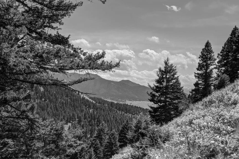 Best Hiking Trails in Belgrade MT
