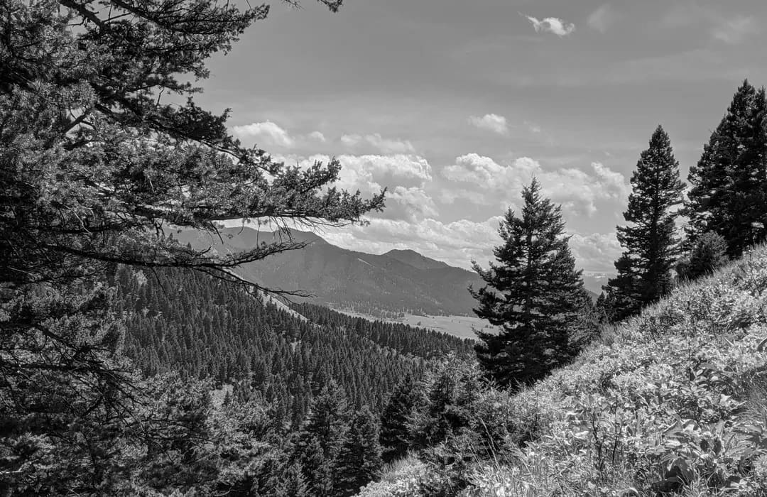 Best Hiking Trails in Belgrade MT