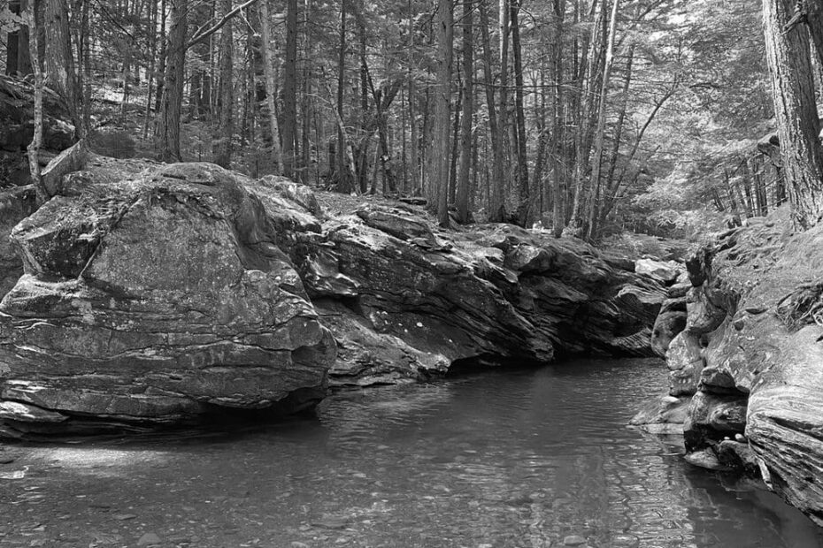 Best Hiking Trails in Bennington NY