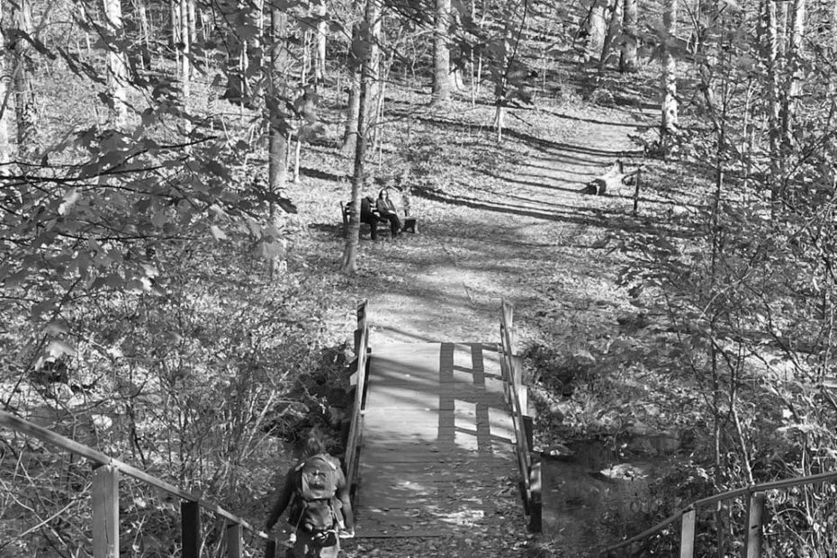 Best Hiking Trails in Bethlehem PA