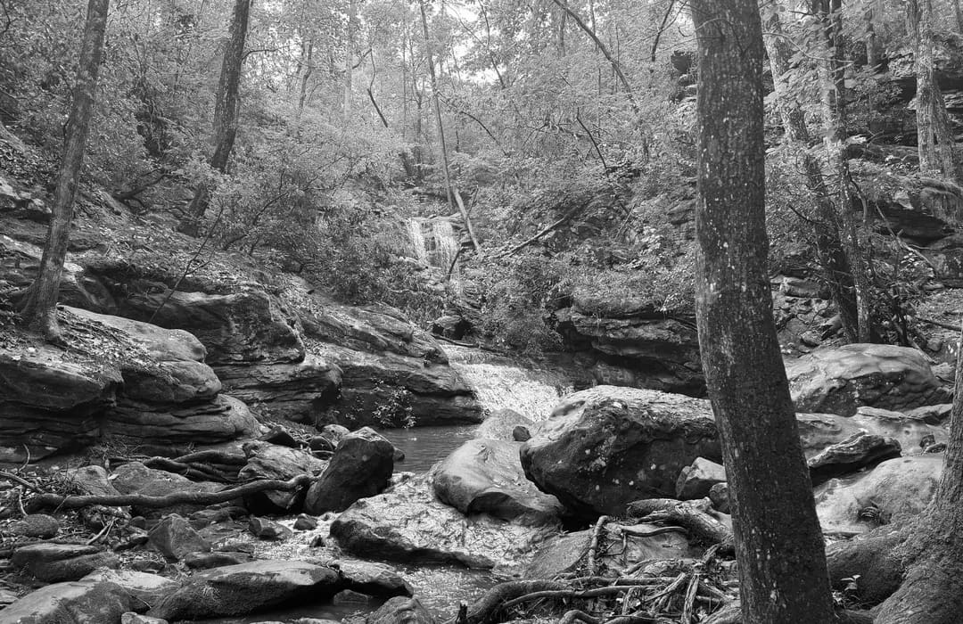 Best Hiking Trails in Birmingham AL