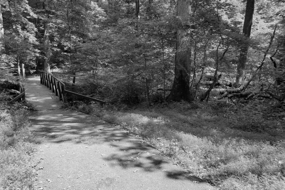 Best Hiking Trails in Bowie MD