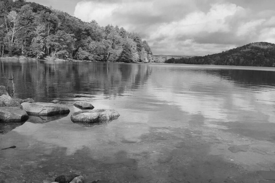Best Hiking Trails in Brattleboro MA