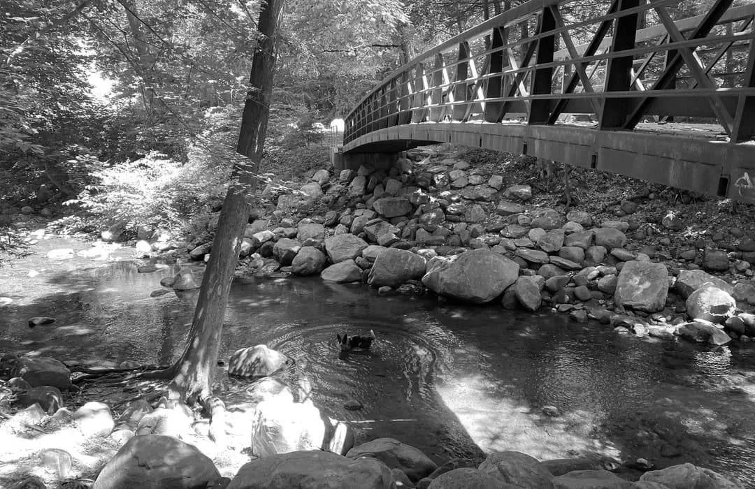 Best Hiking Trails in Bristol CT