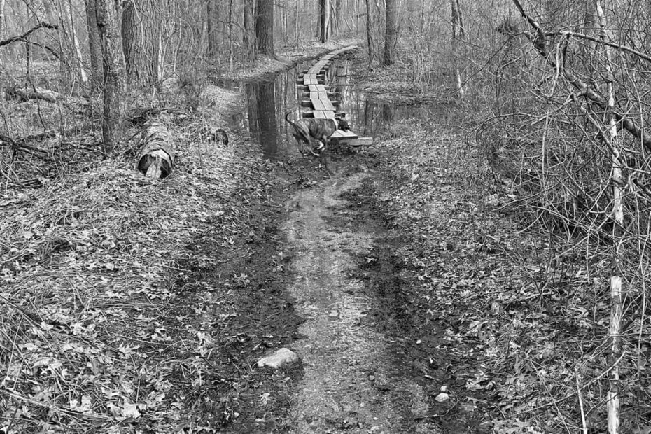 Best Hiking Trails in Brockton MA